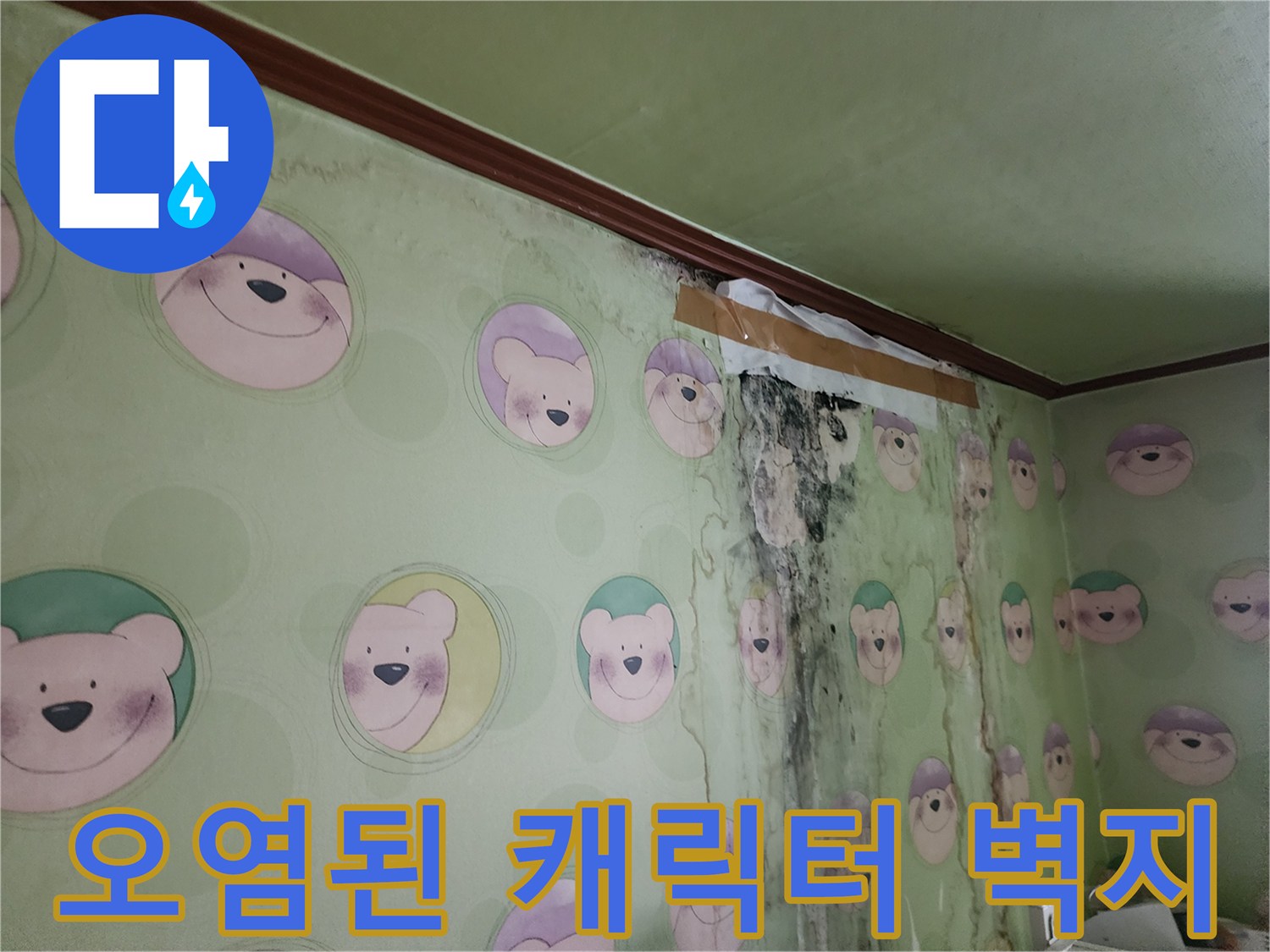 곰팡이가-번진-아이방-벽지-현장-사진
