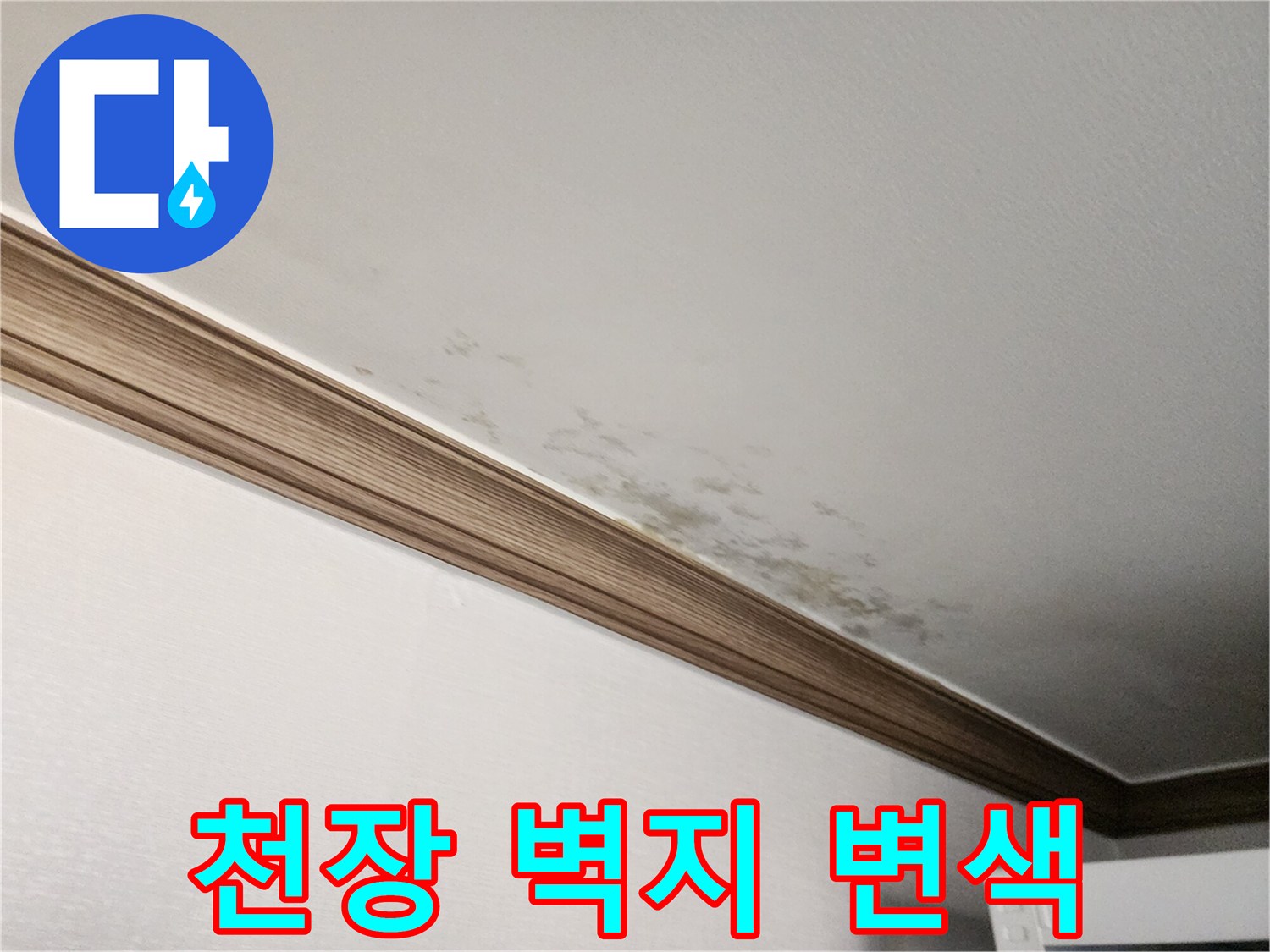 물샘으로 인해 얼룩진 천장 몰딩 부근