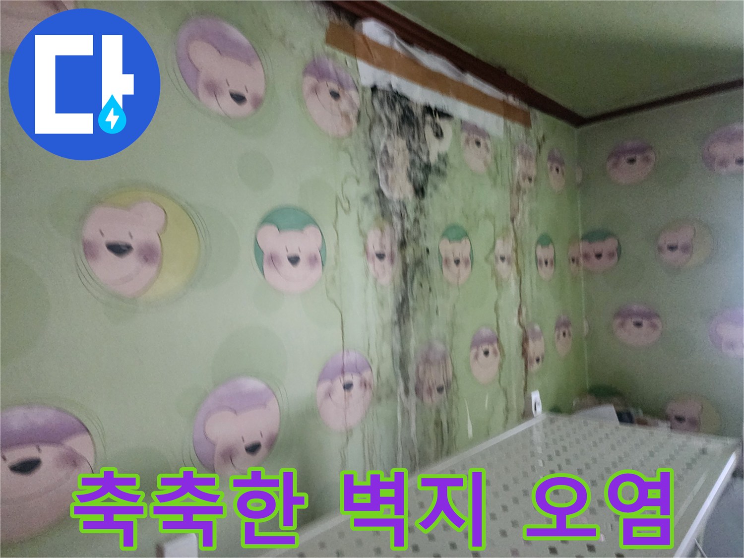 젖어있는-벽지와-검은색-곰팡이-흔적