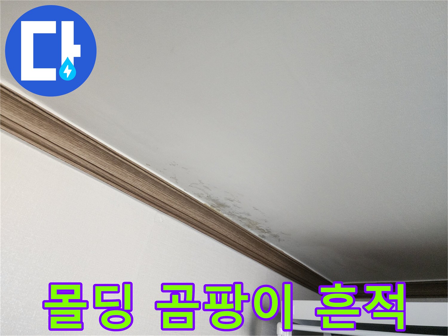 천장-몰딩-사이의-물샘-및-변색-상태