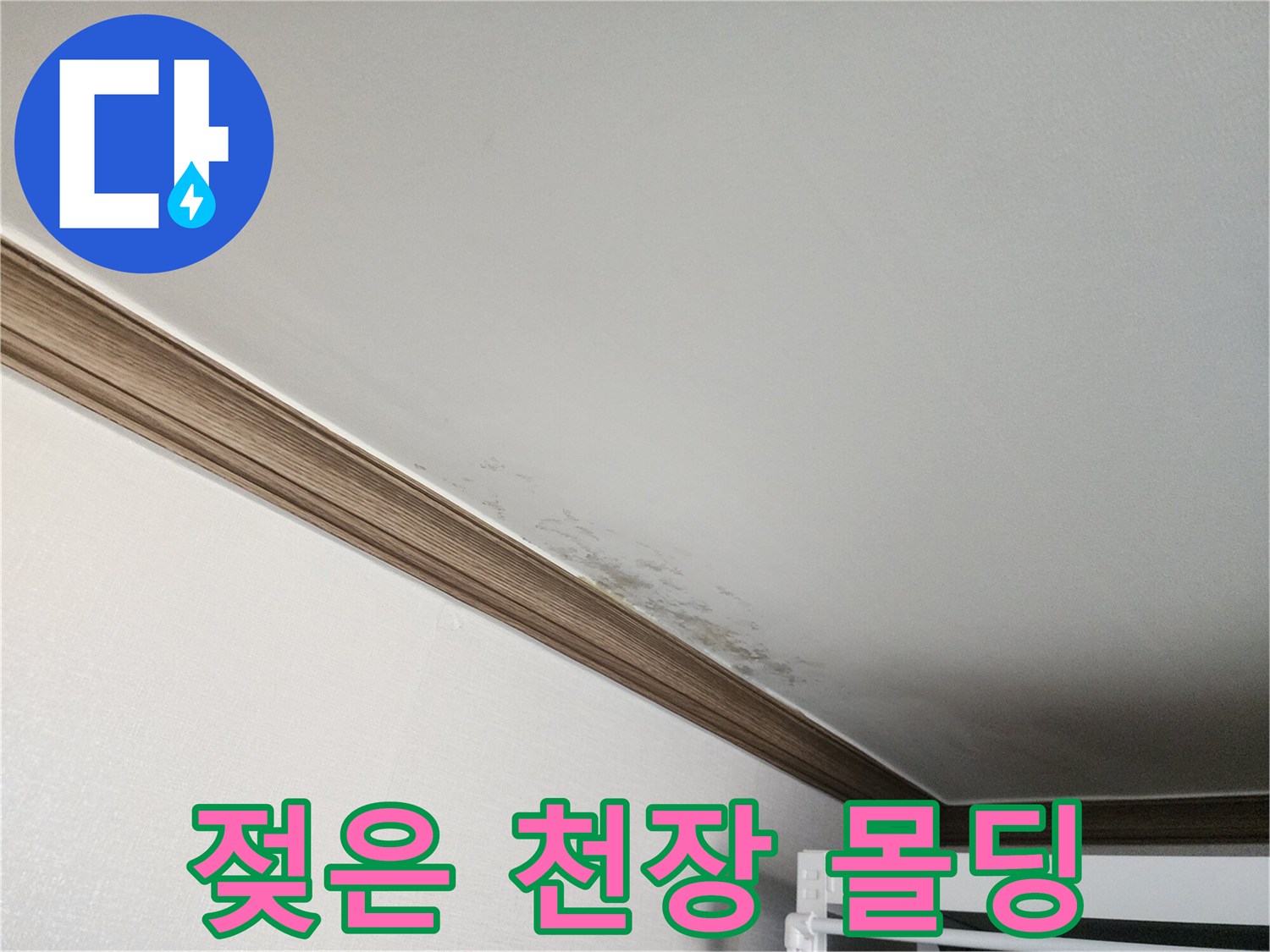 천장-몰딩-주변의-축축한-얼룩-상태