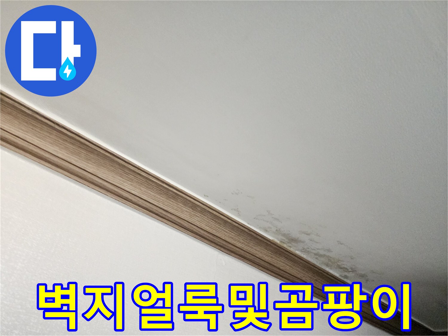 천장 몰딩 하단의 젖은 벽지 상태