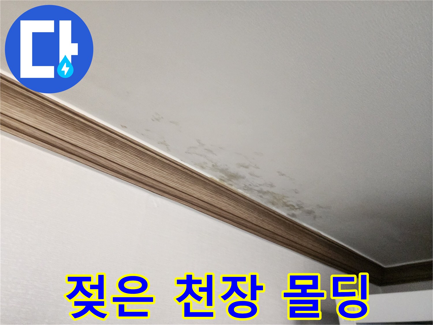 천장과 벽면 경계의 변색된 부분