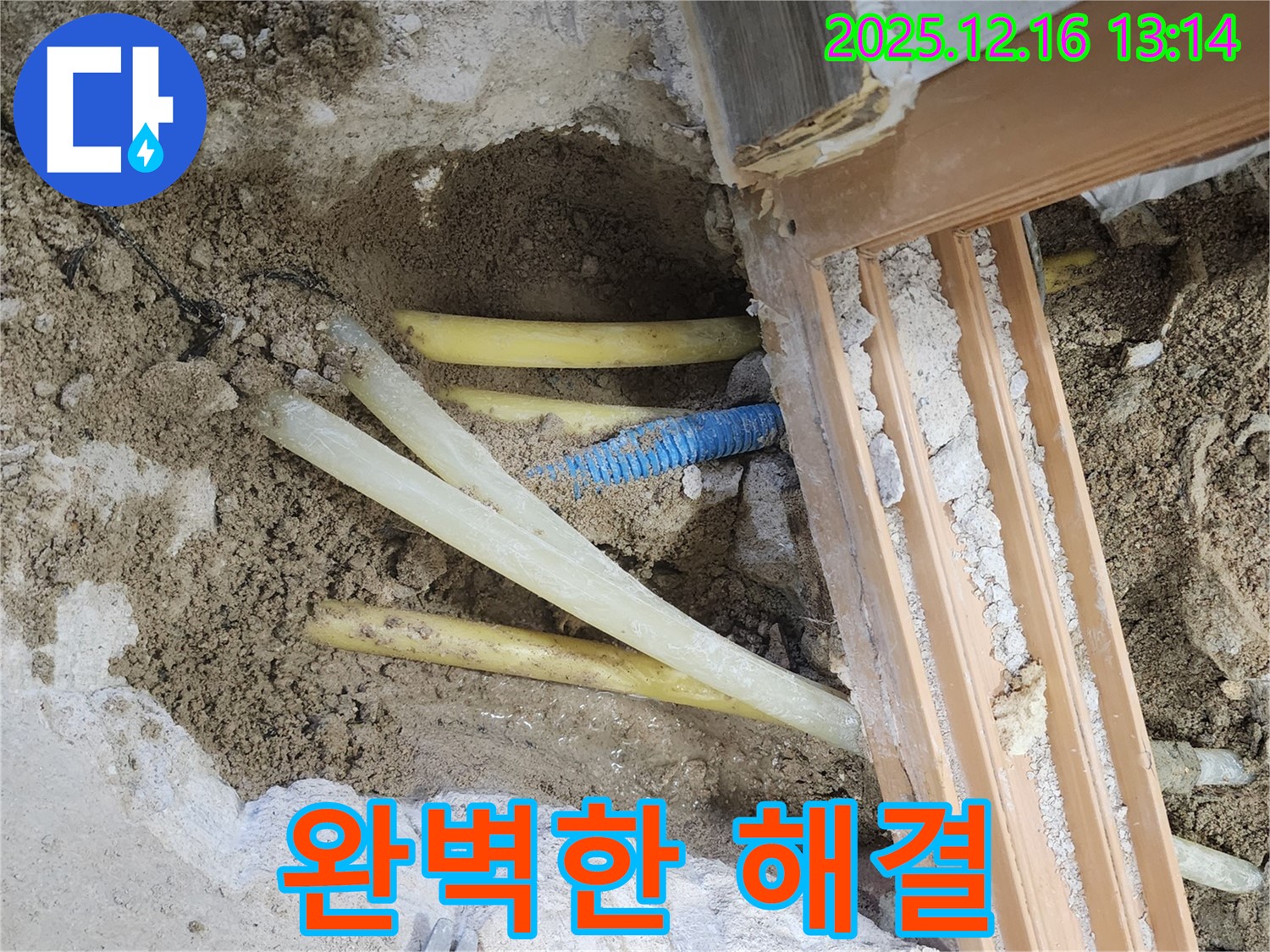 소홀리 완벽한 해결 - 고객 만족 최우선