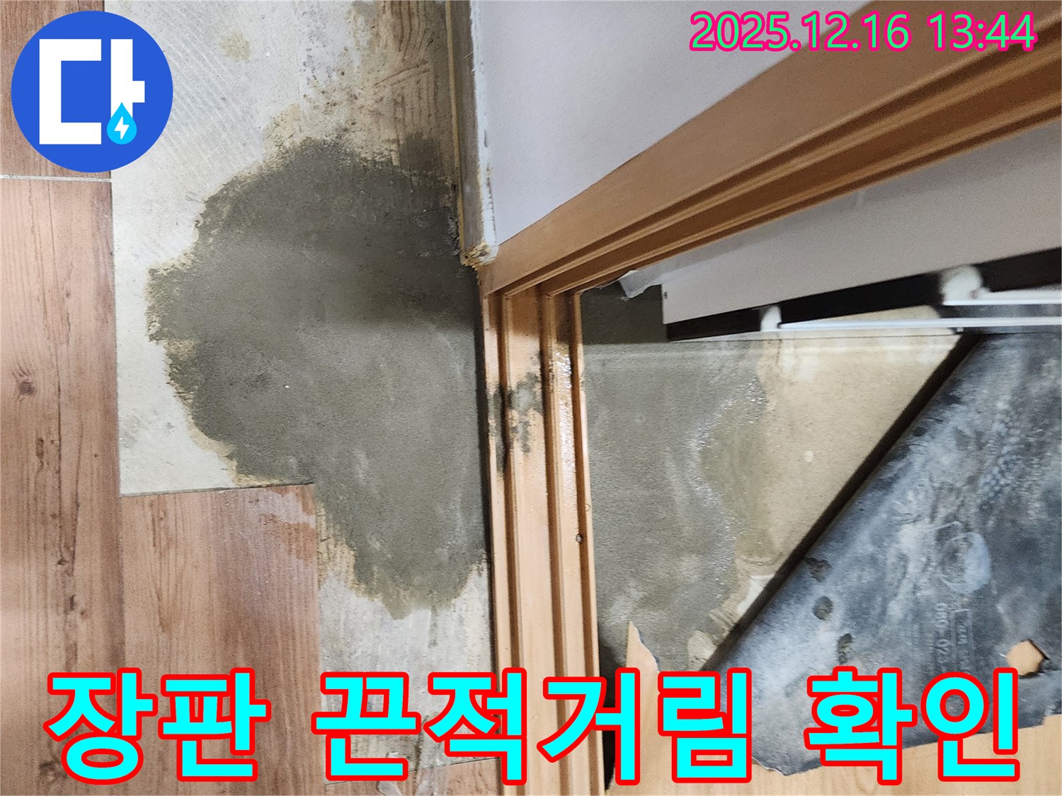소홀리 - 장판 끈적거림, 습기 & 곰팡이 주의