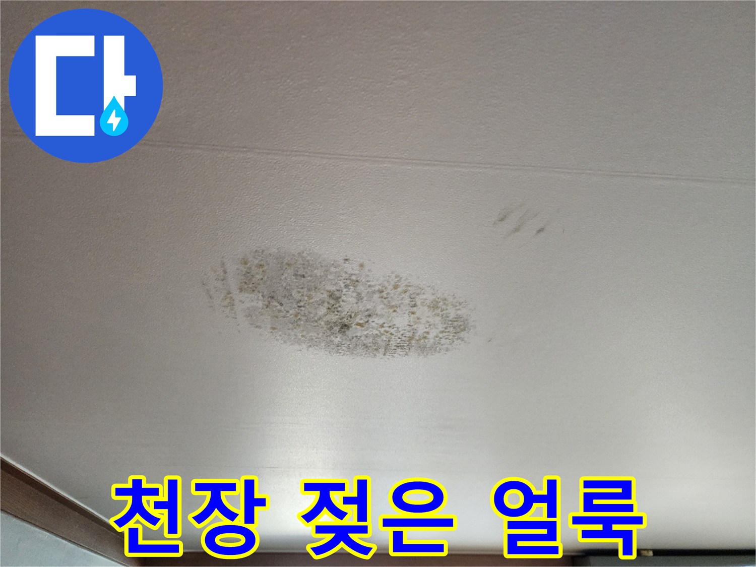 습기로 인해 어둡게 변한 천장 마감재의 모습