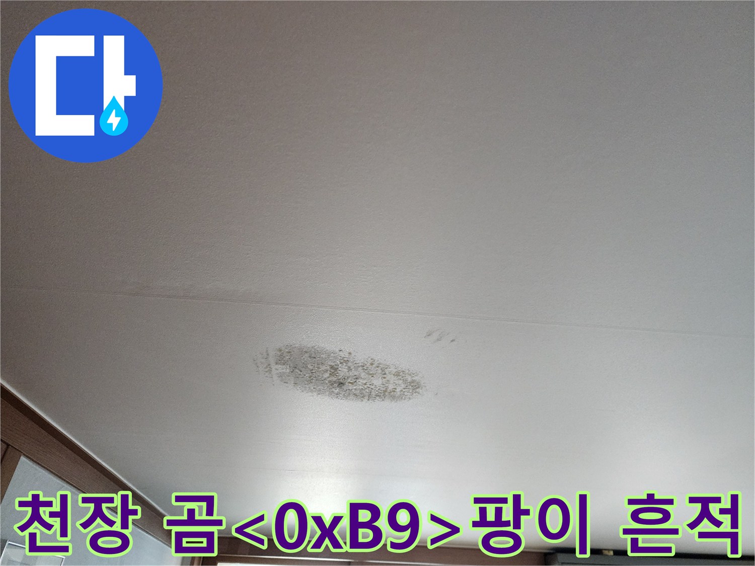 천장 마감재에 퍼진 누수 피해 흔적