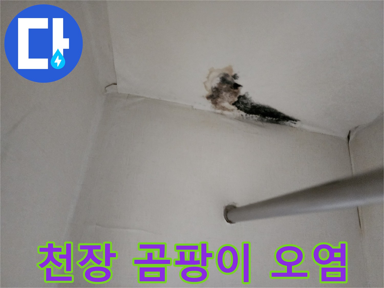 물샘으로 인해 검게 변한 천장 벽지의 모습