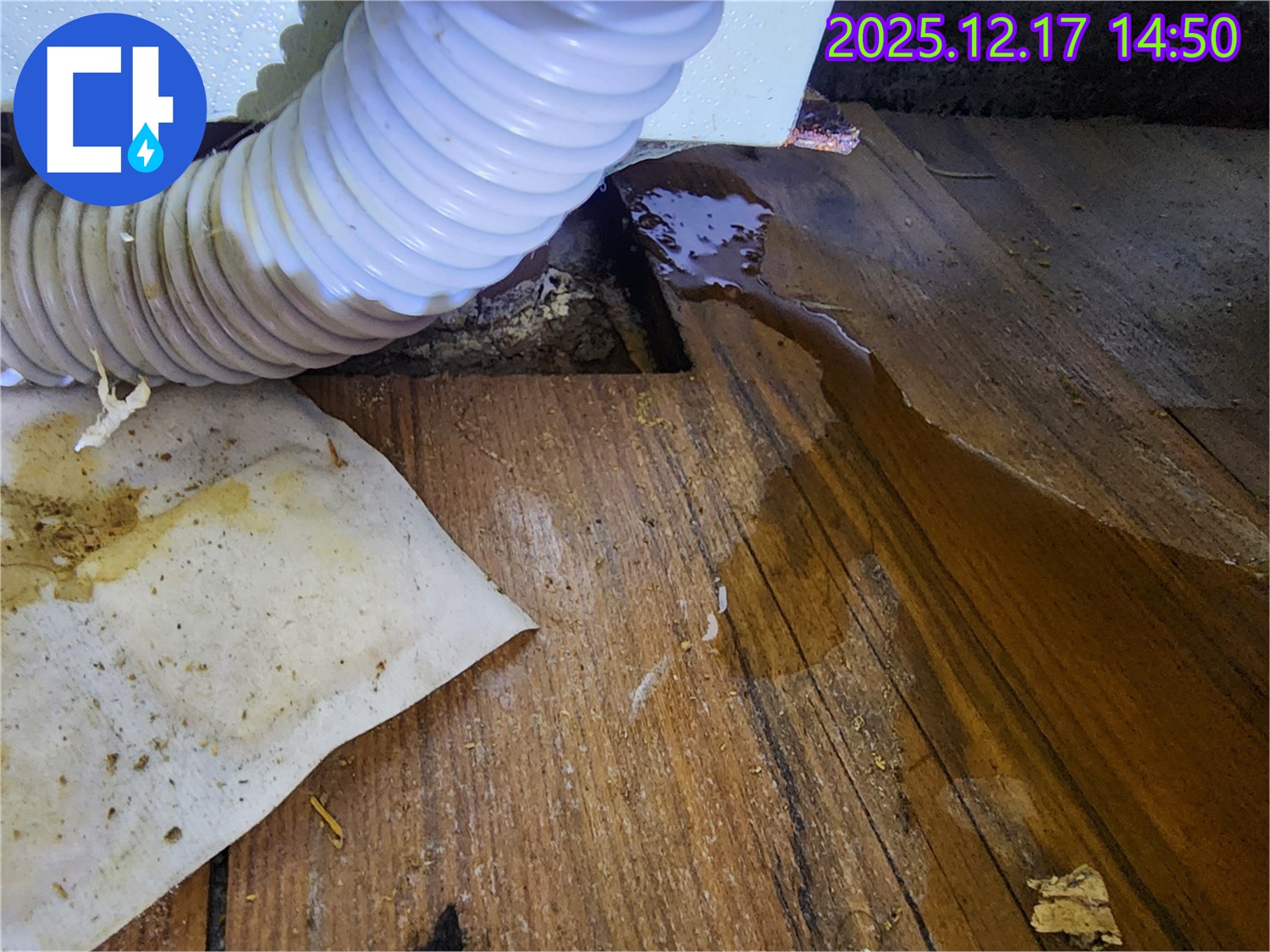 영북면 대회리 누수 - 싱크대 배수구 주변에 물이 고여 있는 것을 확인하고 꼼꼼하게 점검하는 모습입니다.
