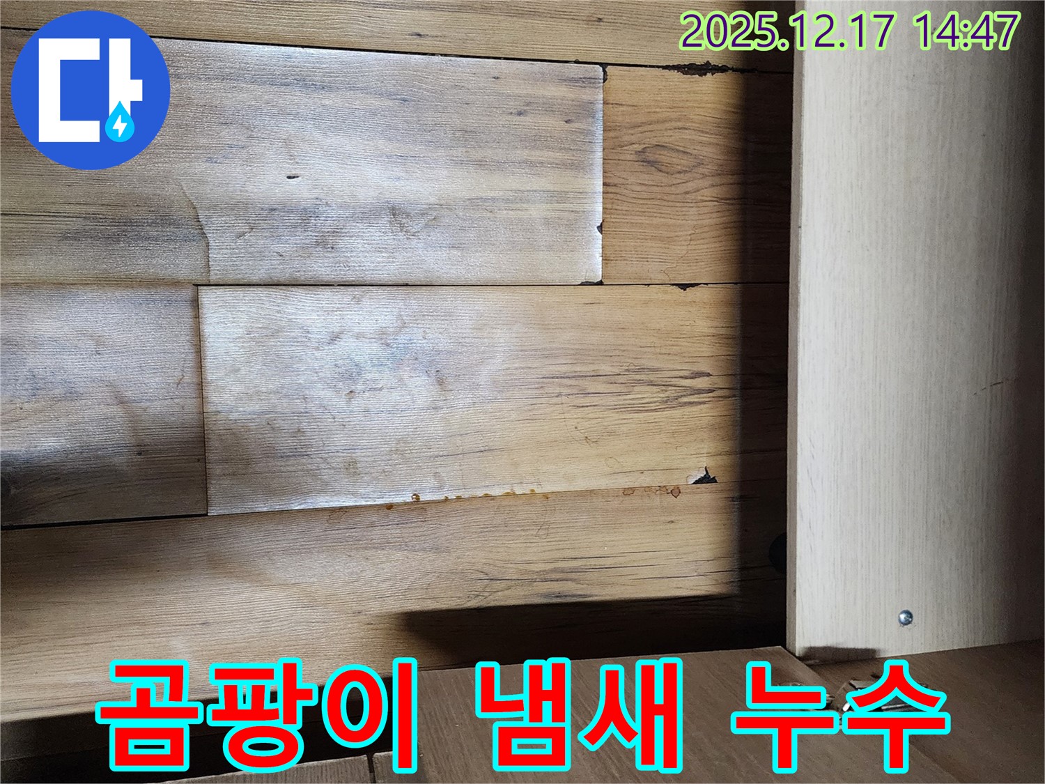 싱크대 하부 곰팡이 냄새 - 누수 의심