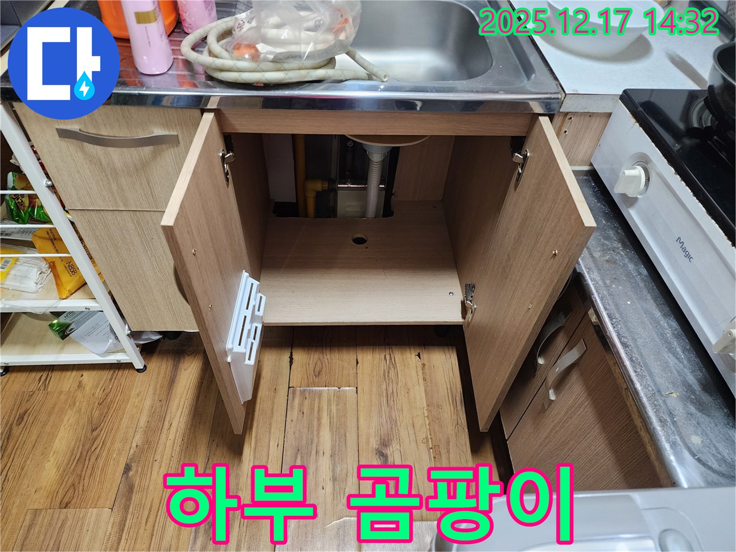 하부 곰팡이 - 건강 영향, 곰팡이 제거