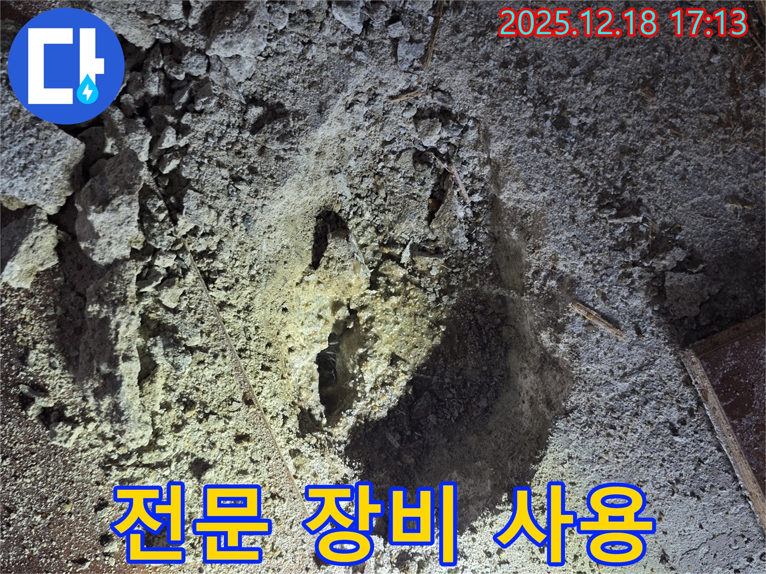 누수 탐지 전문 장비 - 정확한 진단을 위한 필수