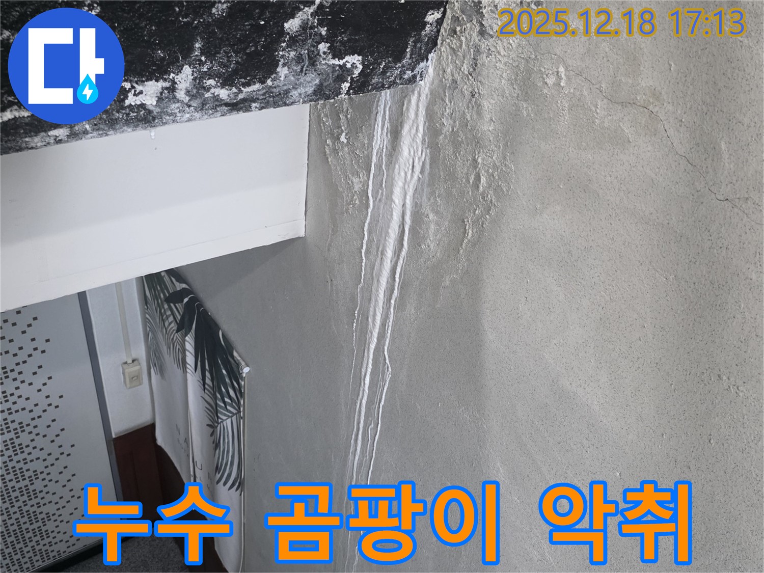 신천동 누수 - 곰팡이 핀 천장과 악취