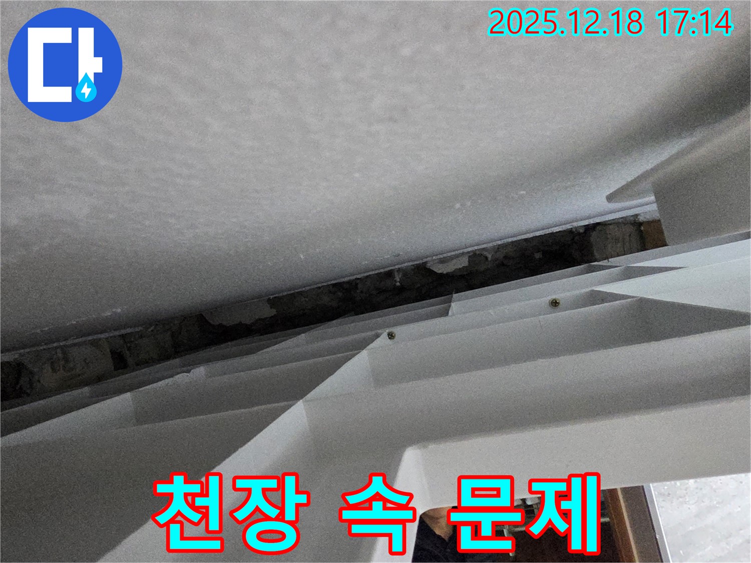 오성빌딩 천장 누수 - 천장 속 문제 해결!
