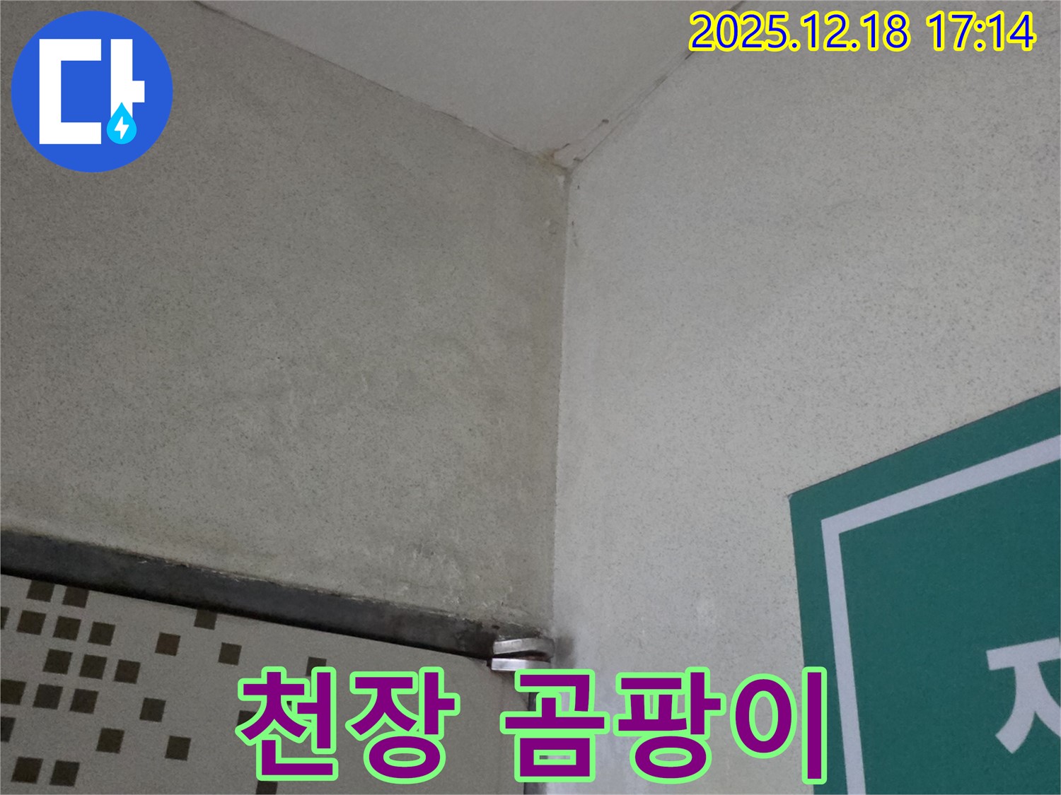 천장 곰팡이 - 천장에 곰팡이가 심하게 발생했습니다.
