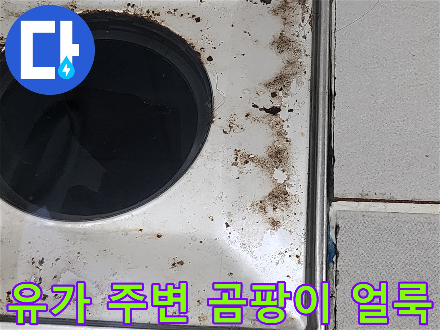 배수구-주변부의-검은색-물때와-오염된-마감재