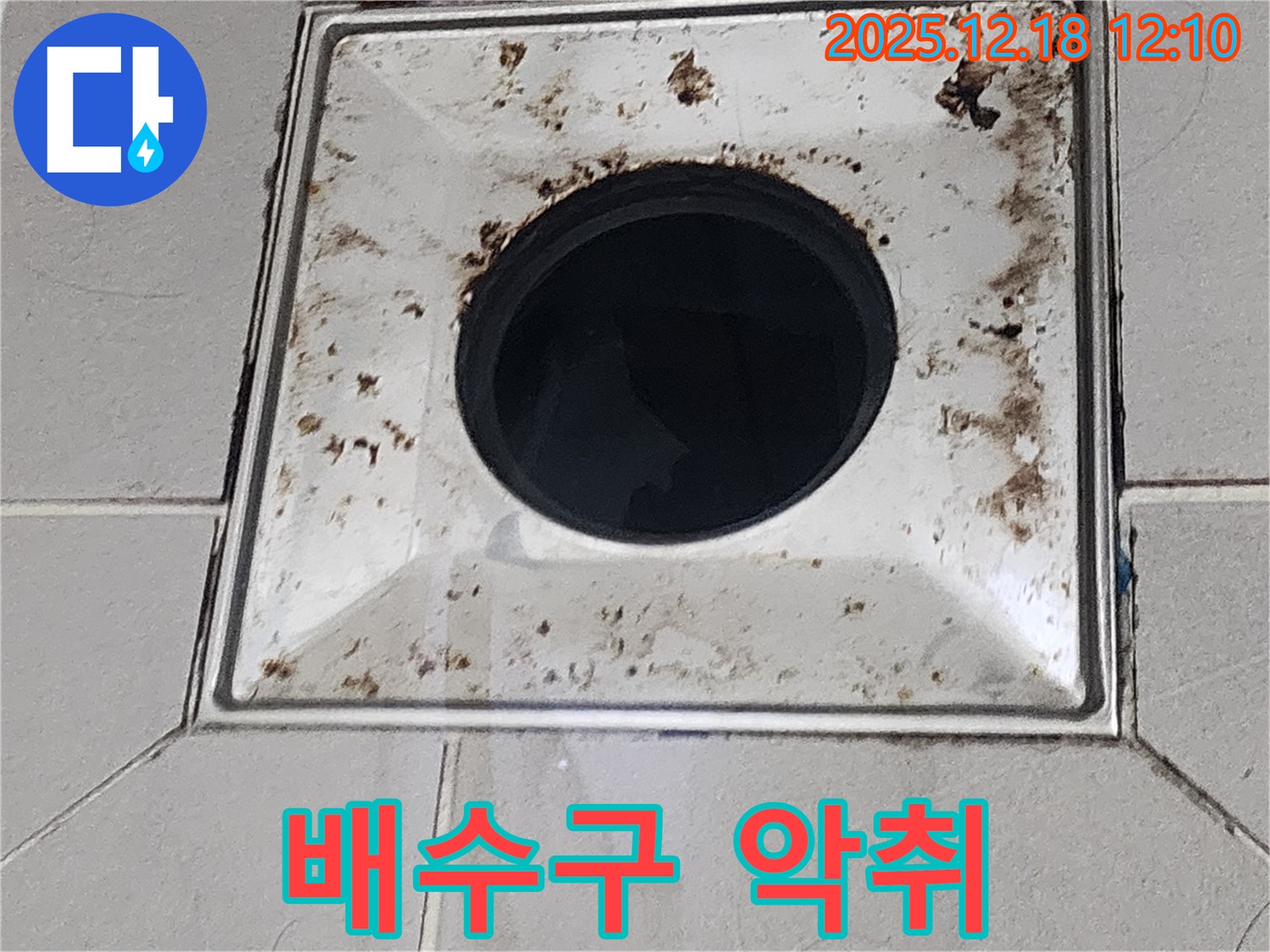 욕실 배수구 악취 원인 제거 - 가채리 누수