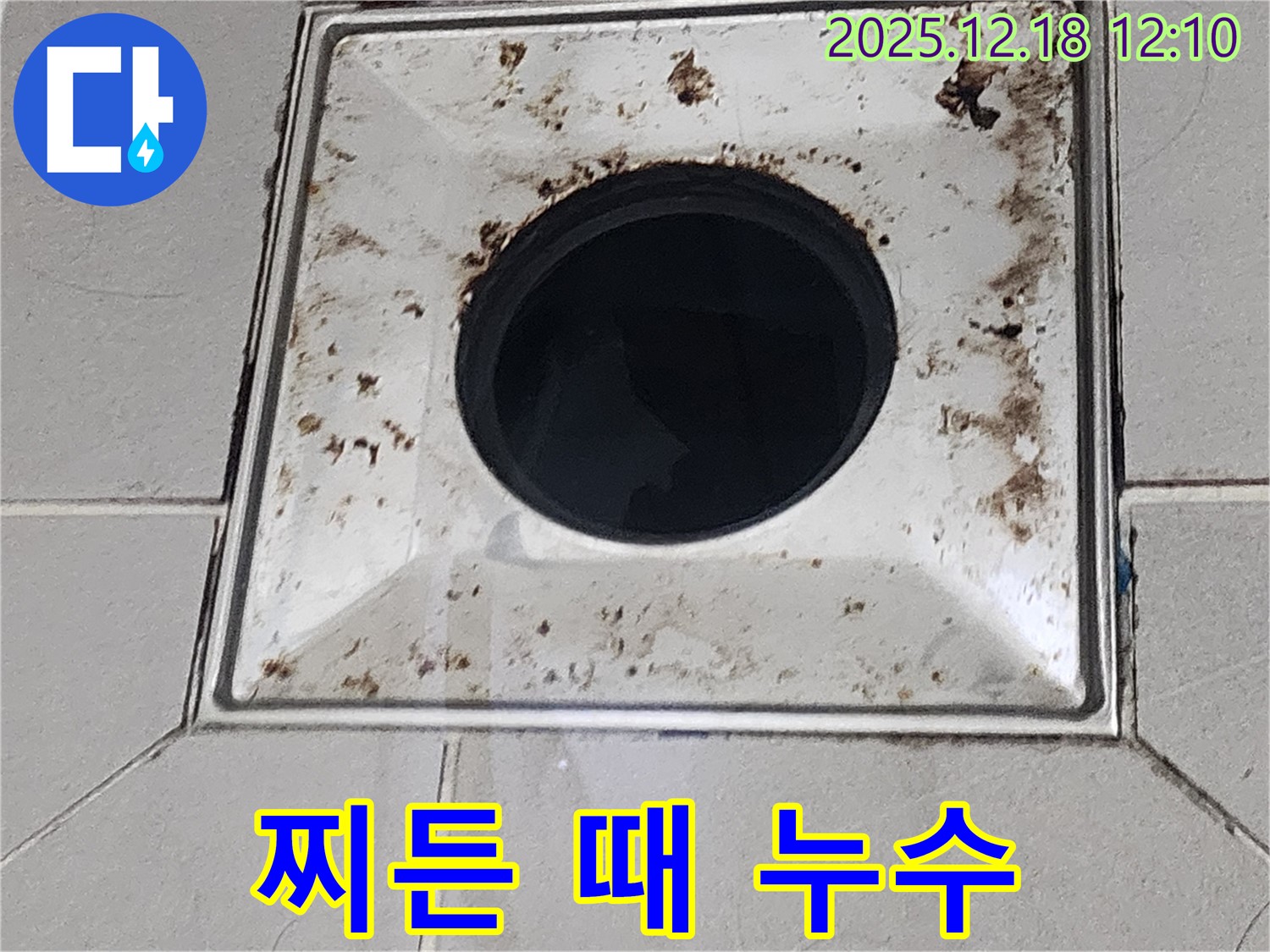 찌든 때와 함께 누수 - 가채리 욕실 배수구