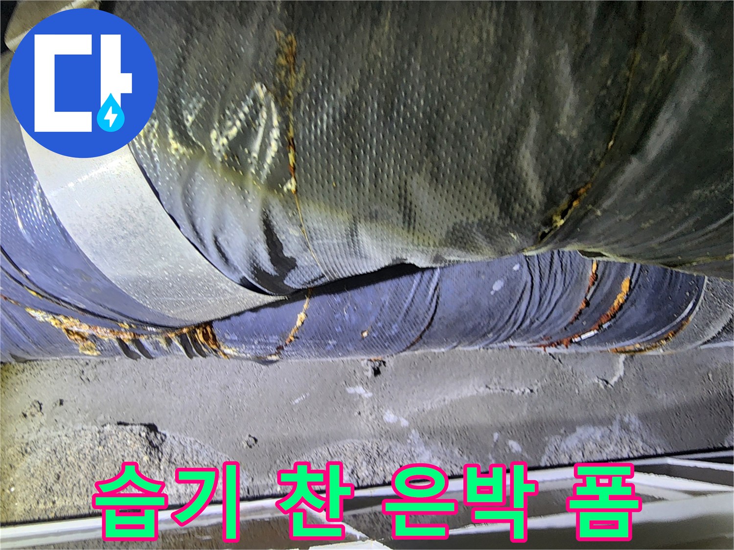 물기에 의해 변색된 천장 배관 단열재 부위