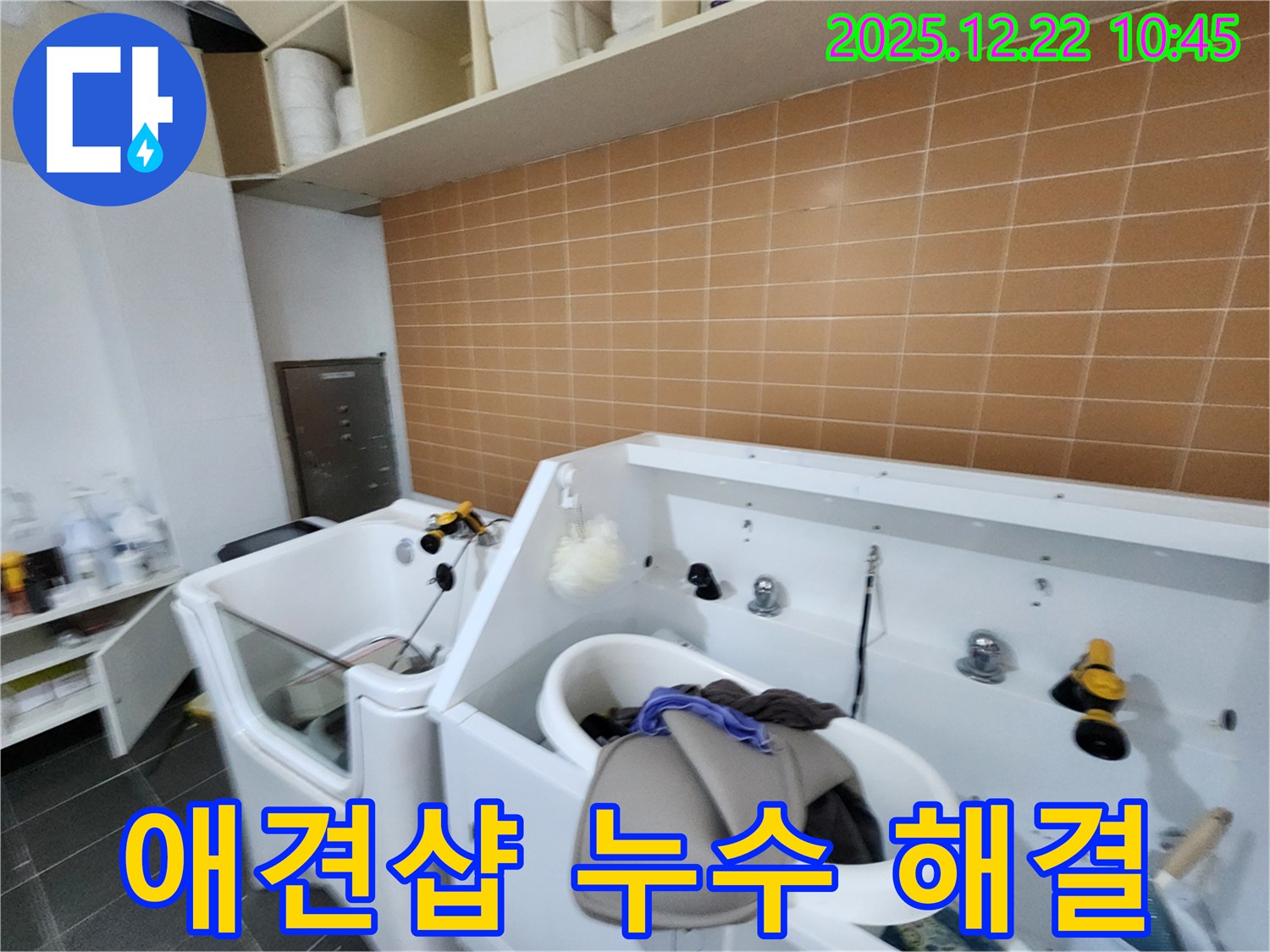 애견샵 누수 해결 - 샤워 시설 누수 완벽 차단