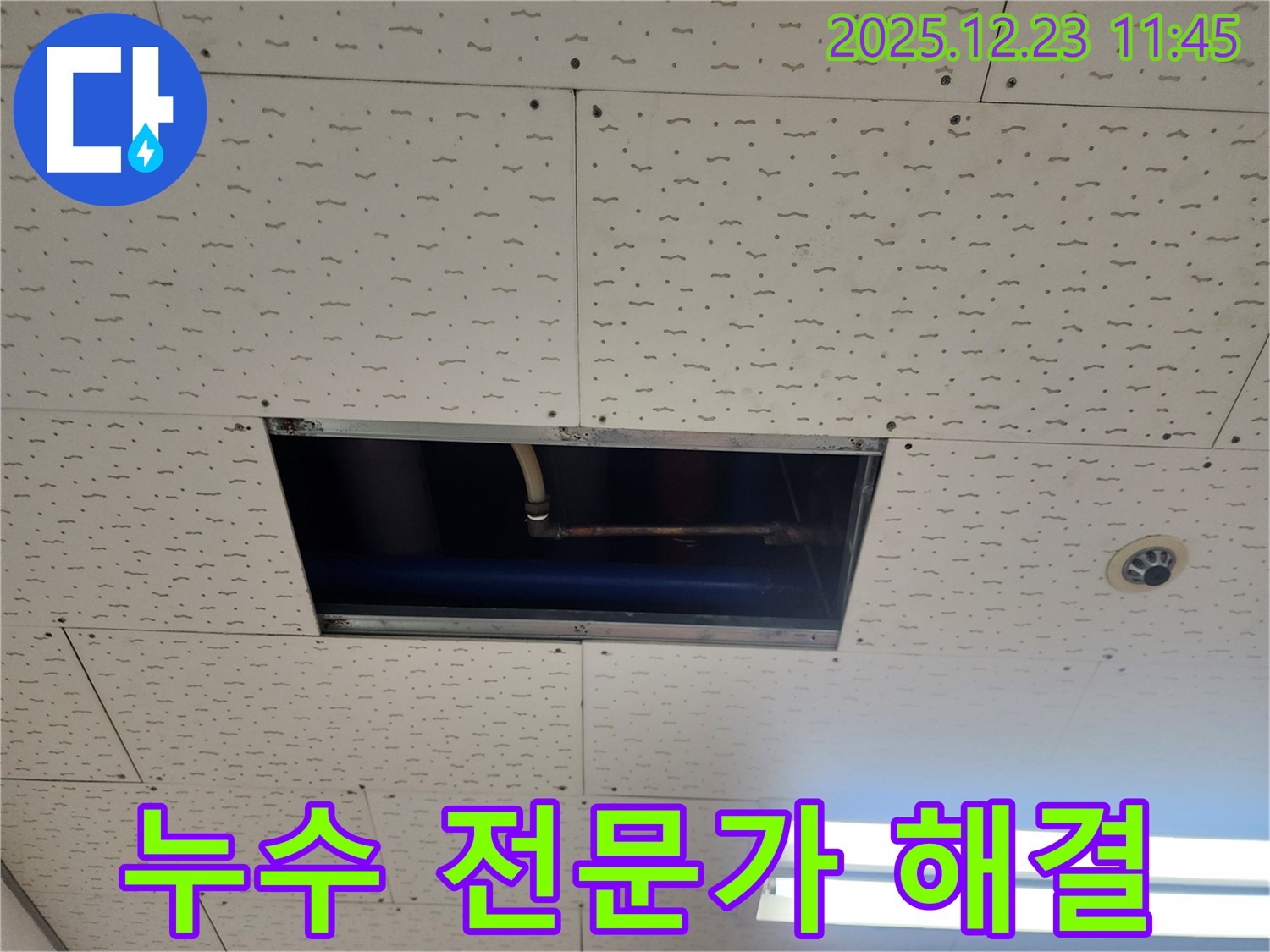 누수 전문가가 직접 천장 누수 해결 - 믿고 맡겨주세요!