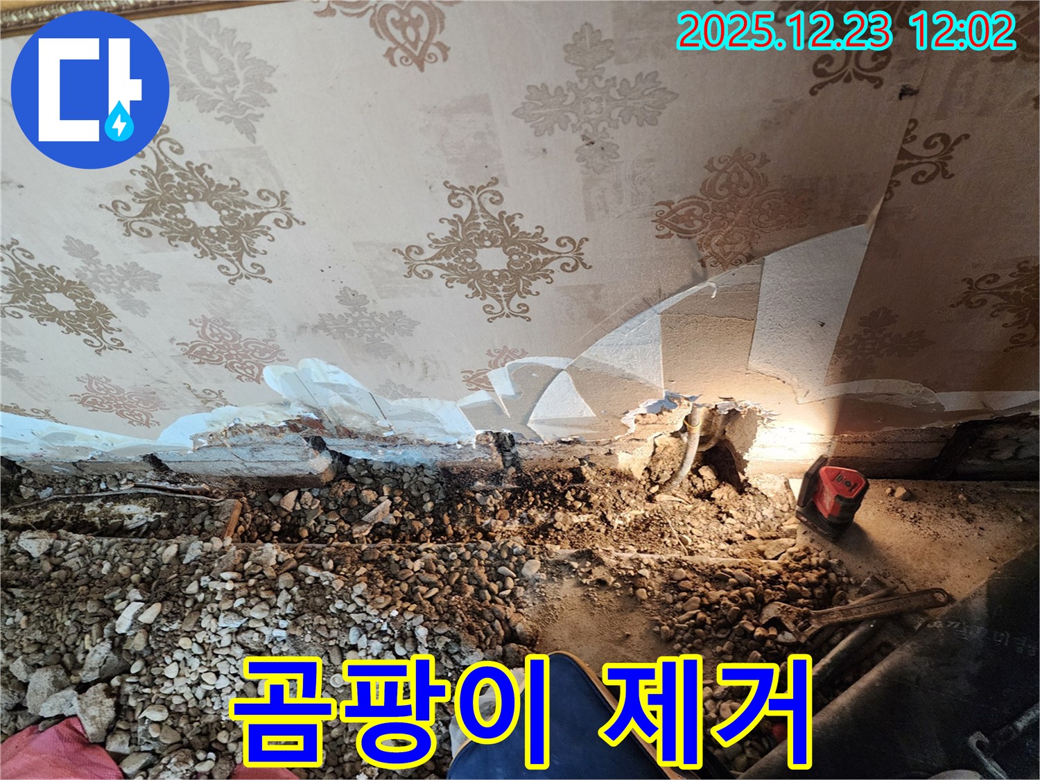 동두천 보산동 주택 곰팡이 천장 - 완벽하게 제거!