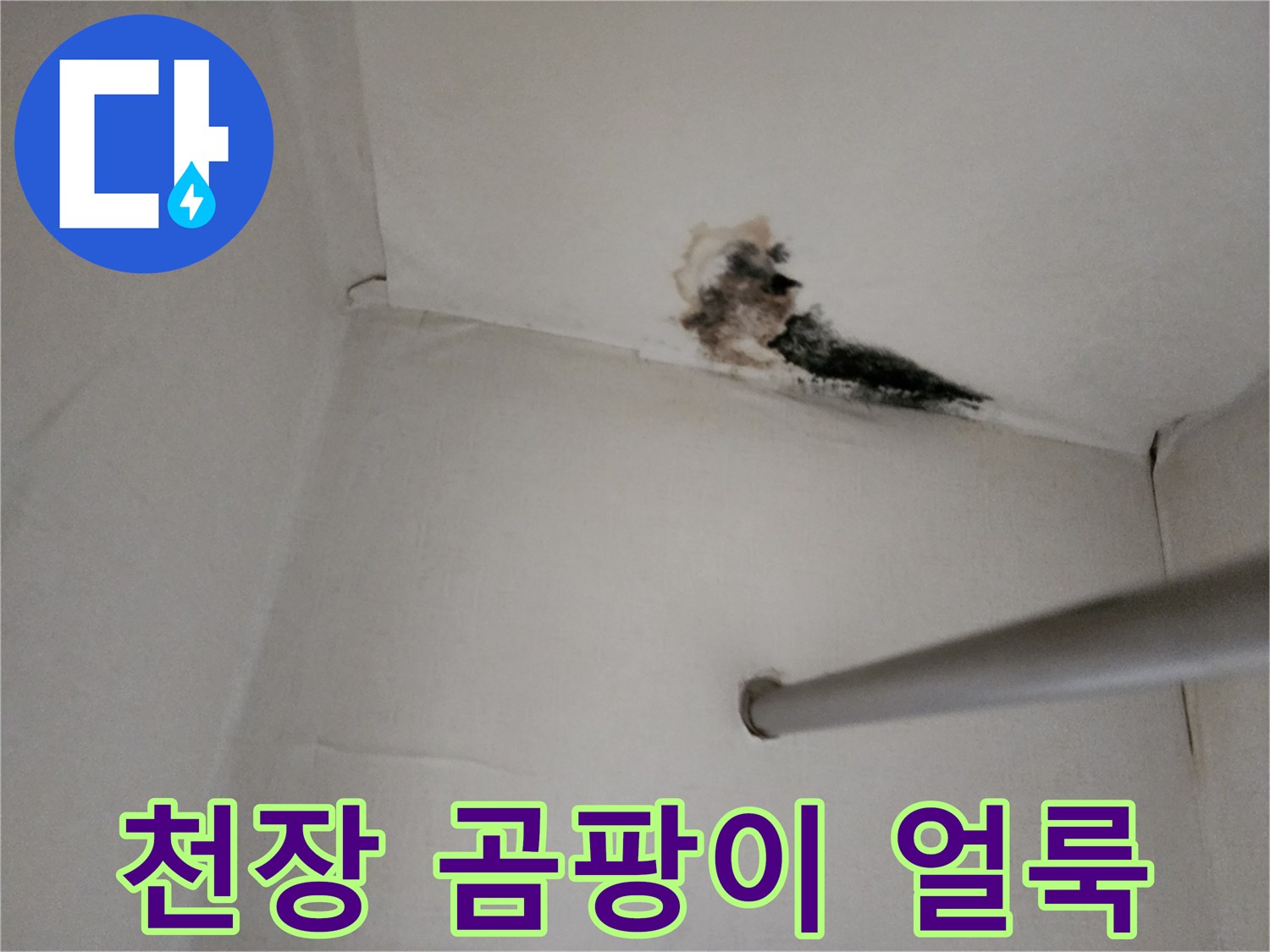 누수로 인해 오염된 천장 구석의 곰팡이 부위