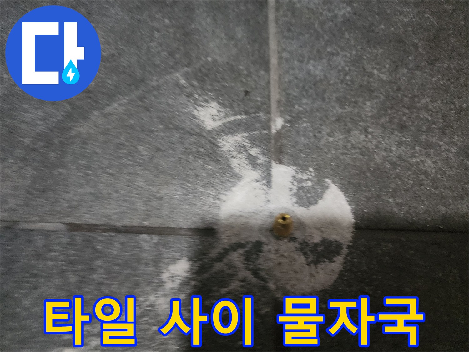 배수구 인근 타일 줄눈의 하얀 침전물 흔적