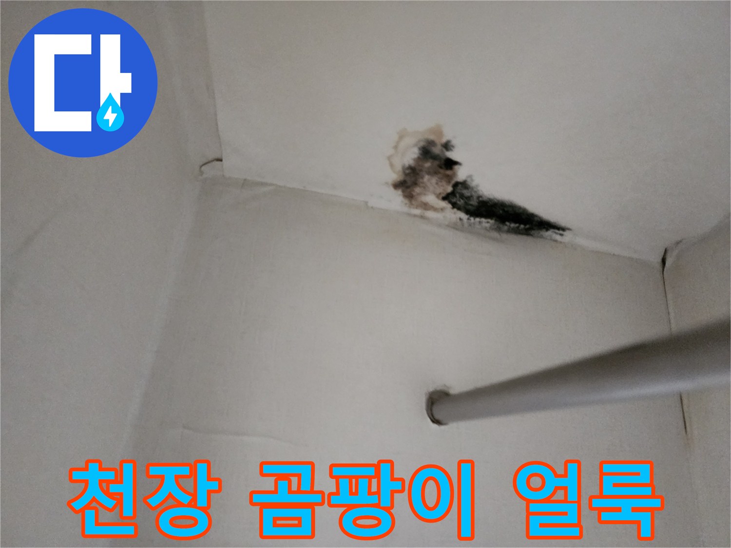 양주 고암동 현장의 천장 곰팡이와 누수 흔적
