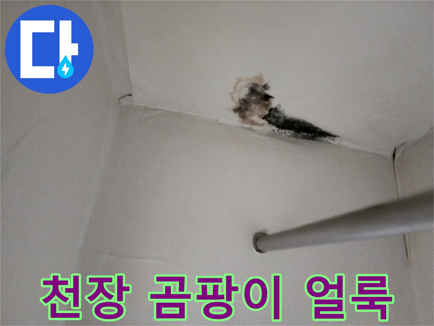 양주 고암동 현장의 천장 곰팡이와 물샘 흔적