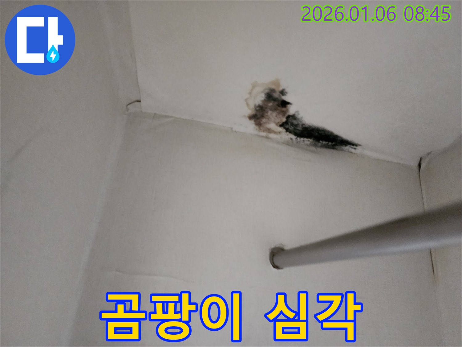 양주시 베란다 천장 누수 - 곰팡이가 심하게 발생한 천장