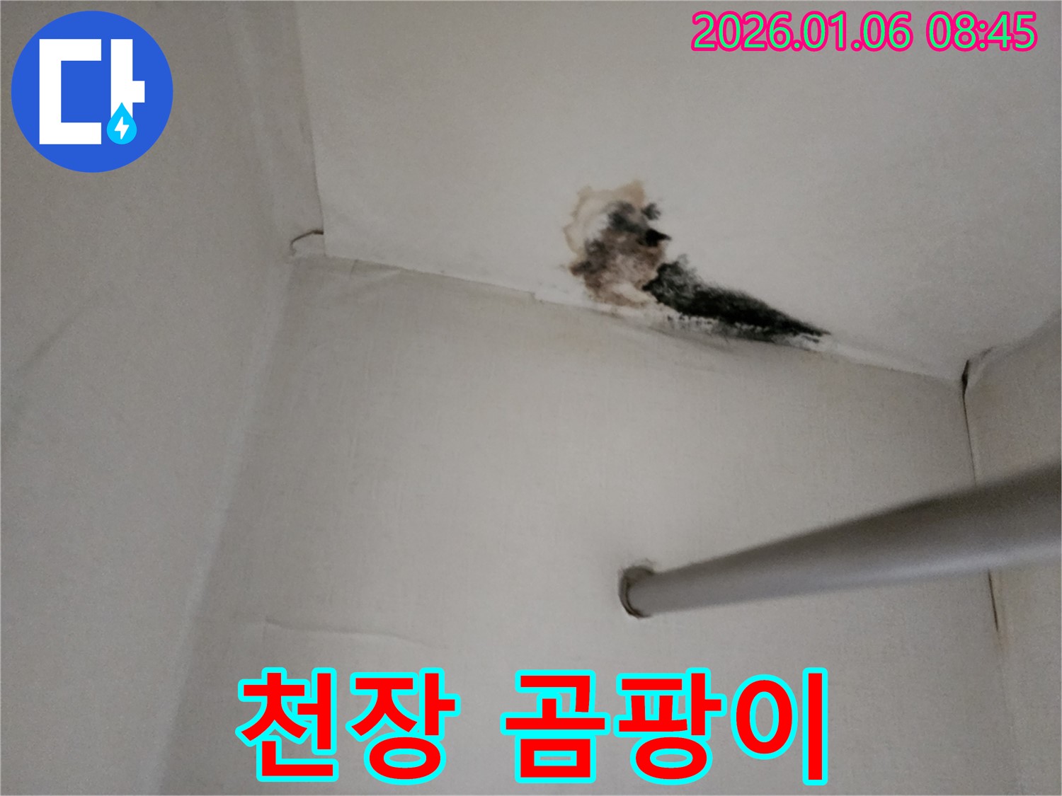 양주시 옷장 천장 누수 - 곰팡이로 뒤덮인 천장