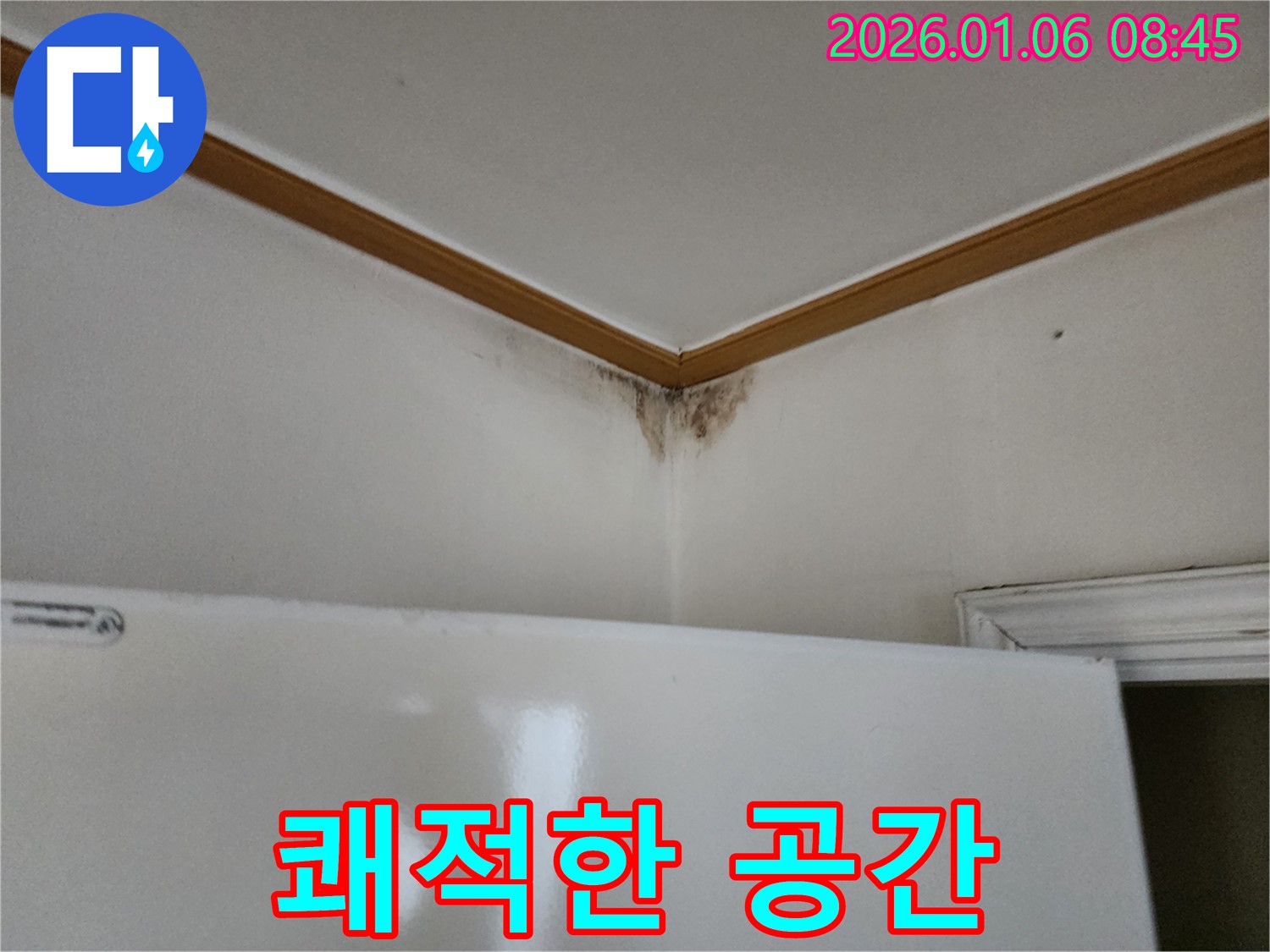 천장 곰팡이 - 곰팡이와 작별하고 쾌적한 공간으로.