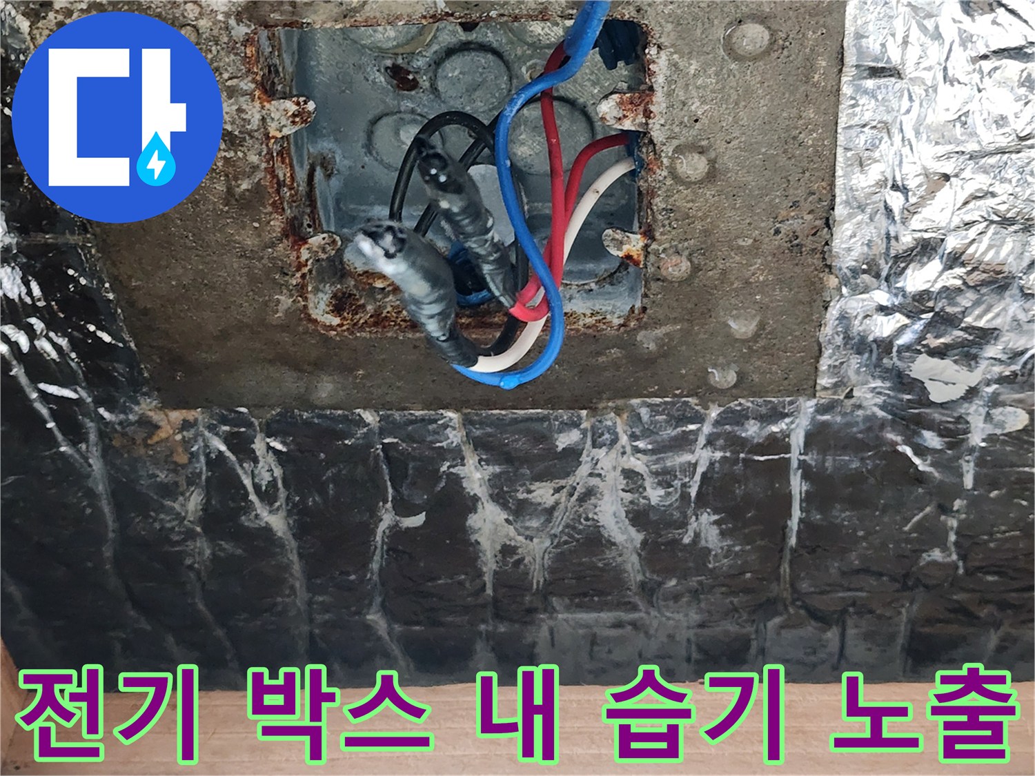축축하게 젖은 전기 배선함-천장 내부 누수 흔적