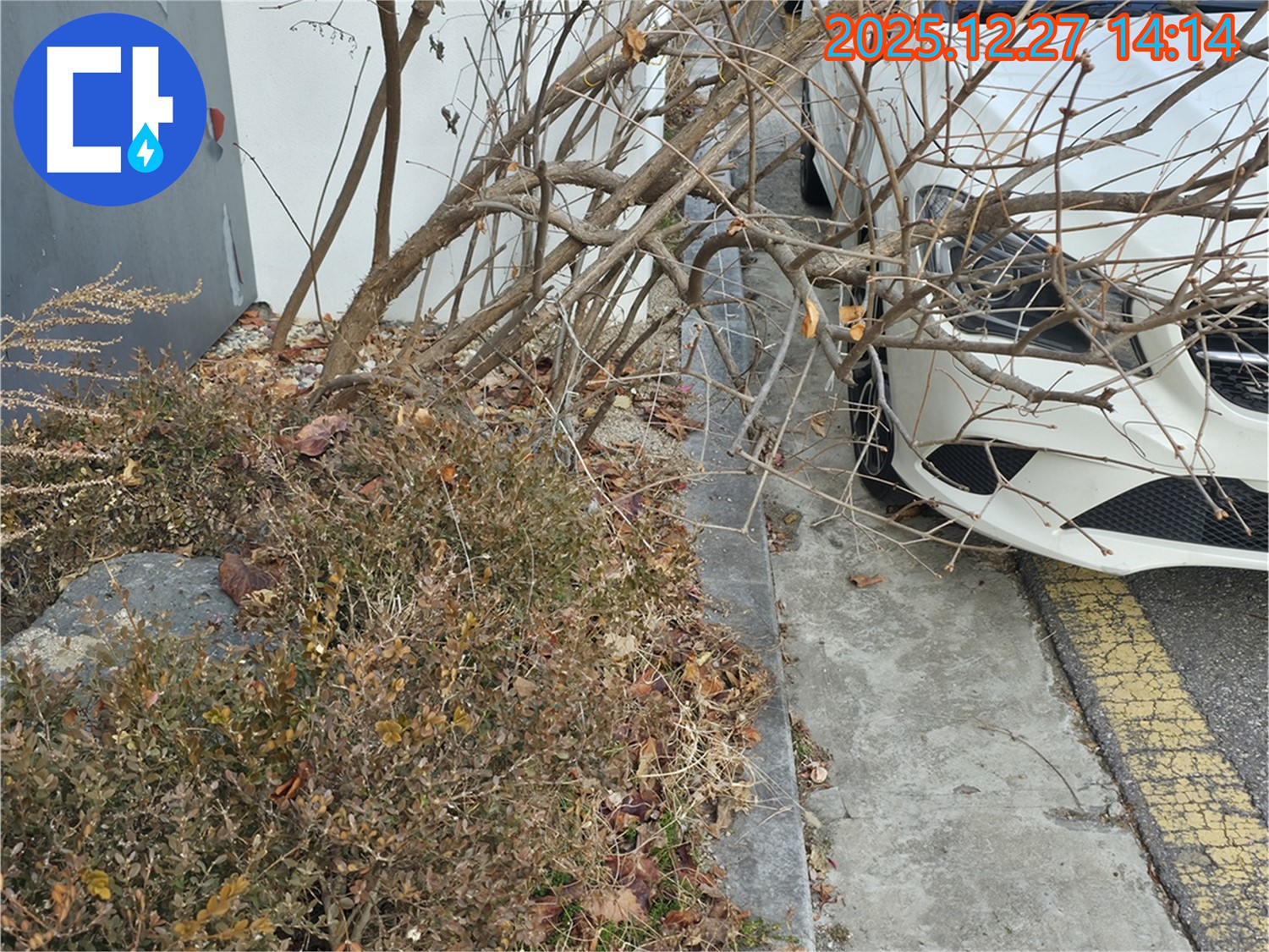 겨울철 상가 앞 화단 결빙으로 인한 누수 - 신속한 누수 탐지와 꼼꼼한 보수 작업으로 안전을 확보했습니다.