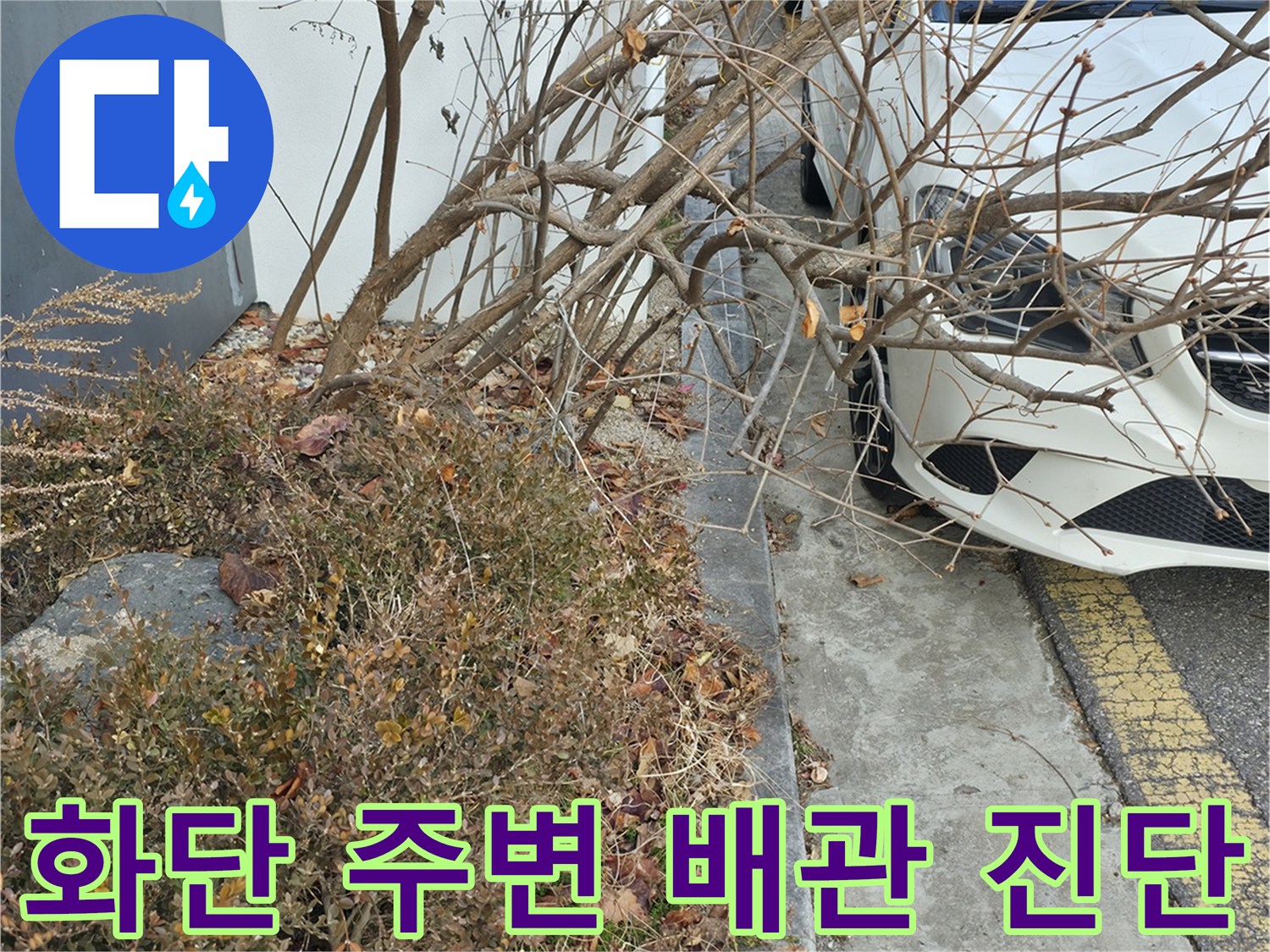 건물-벽면-옆-화단-배관-상태-조사
