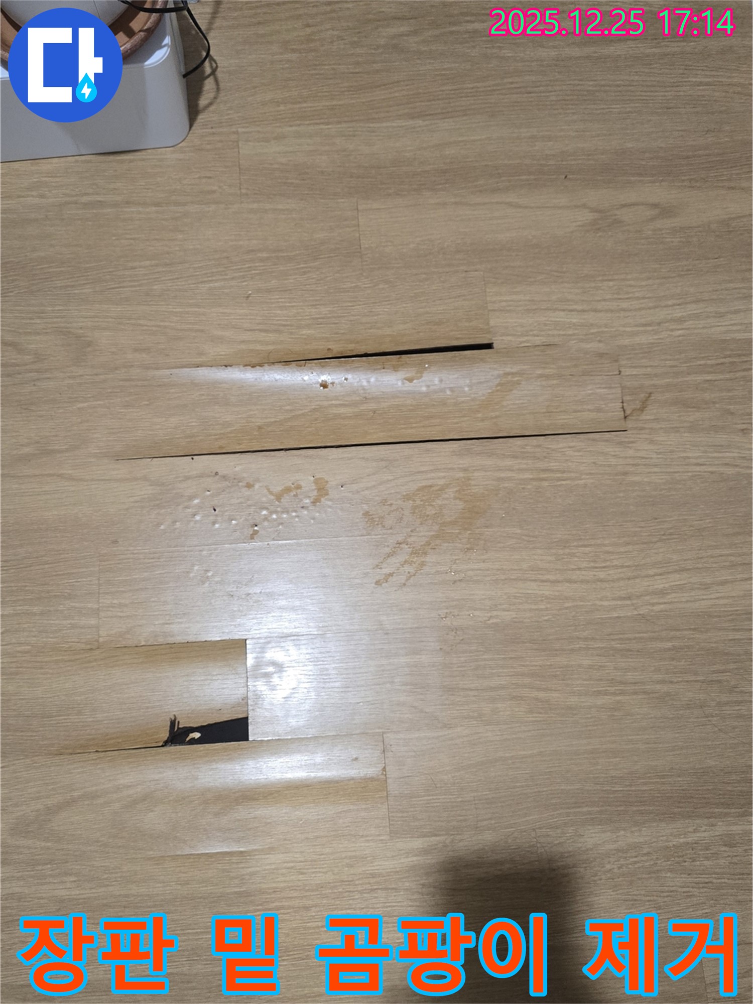 남양주 아파트 누수 현장 - 장판 밑 곰팡이 제거 작업을 진행하는 사진입니다.