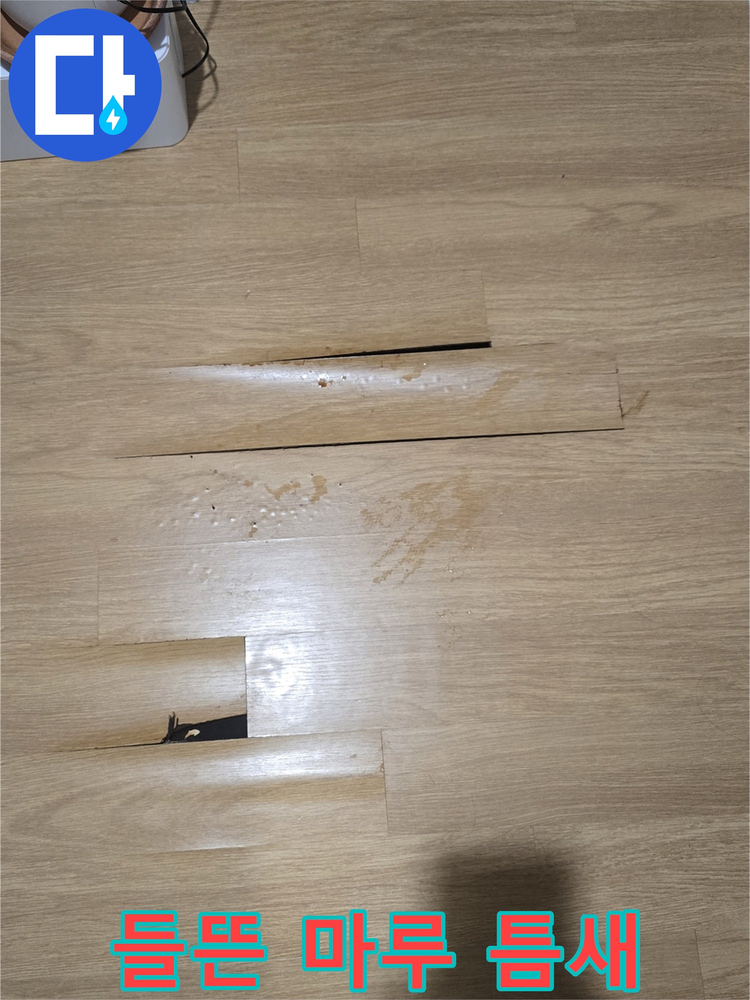 습기로-벌어진-거실-마루-바닥면-사진