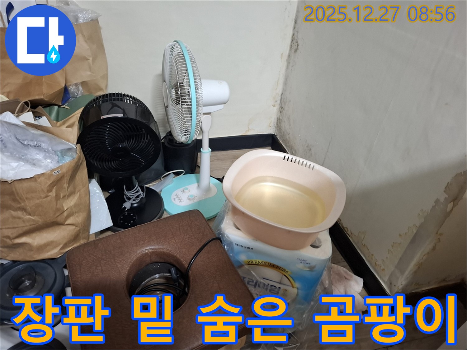 송파구 삼전동 누수 현장 - 장판 밑에 숨어있는 곰팡이까지 찾아 완벽하게 제거합니다.