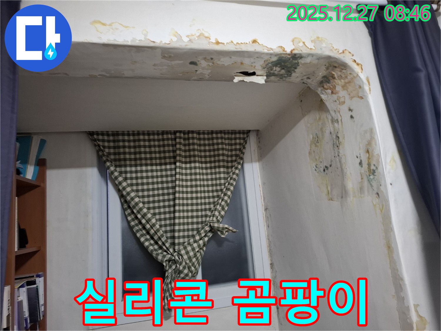 송파구 삼전동 - 실리콘 곰팡이 발생 및 누수 의심