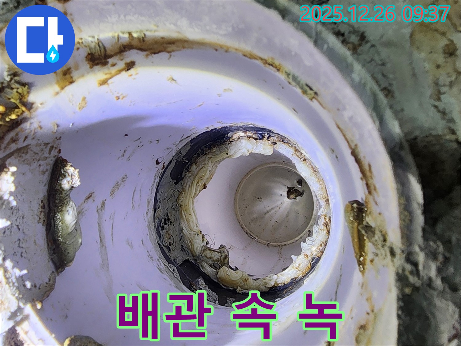 상계1동 낡은 배관 - 녹, 건강 위협