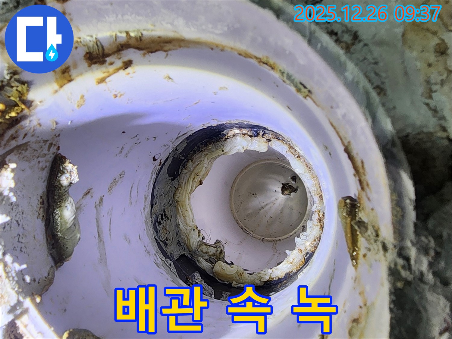 상계1동 낡은 배관 - 녹, 건강 위협