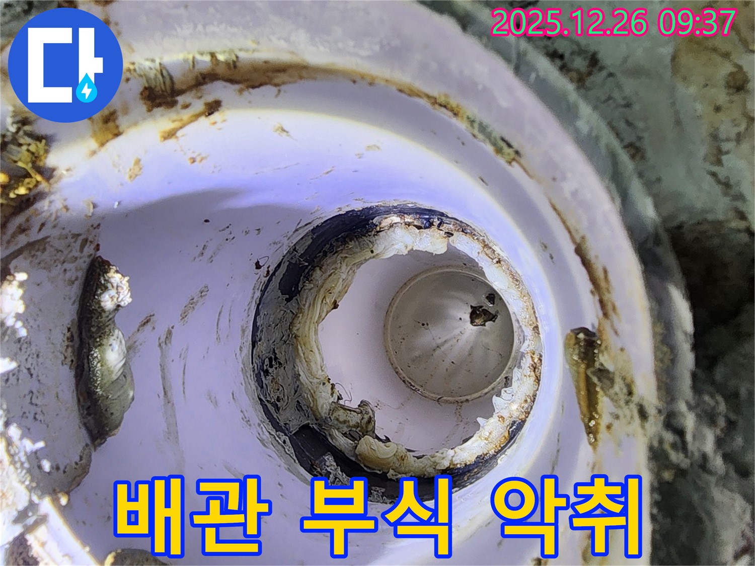 상계1동 낡은 배관 - 부식과 불쾌한 냄새