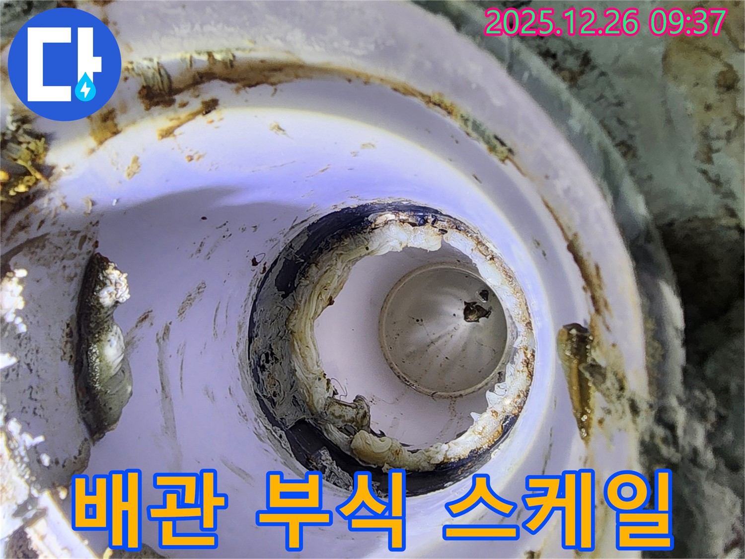 상계1동 노후 배관 - 부식과 스케일 누적
