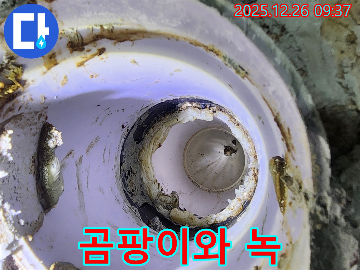 상계1동 배관 - 곰팡이와 녹으로 뒤덮임