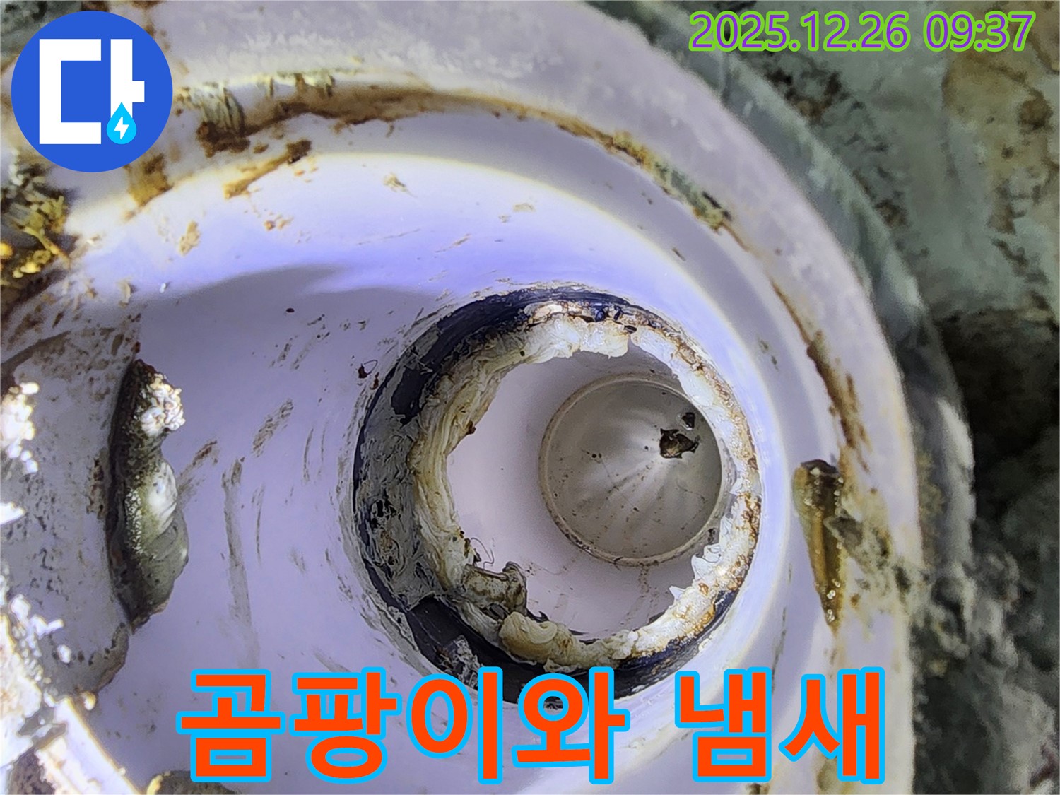 상계1동 배관 - 곰팡이와 불쾌한 냄새