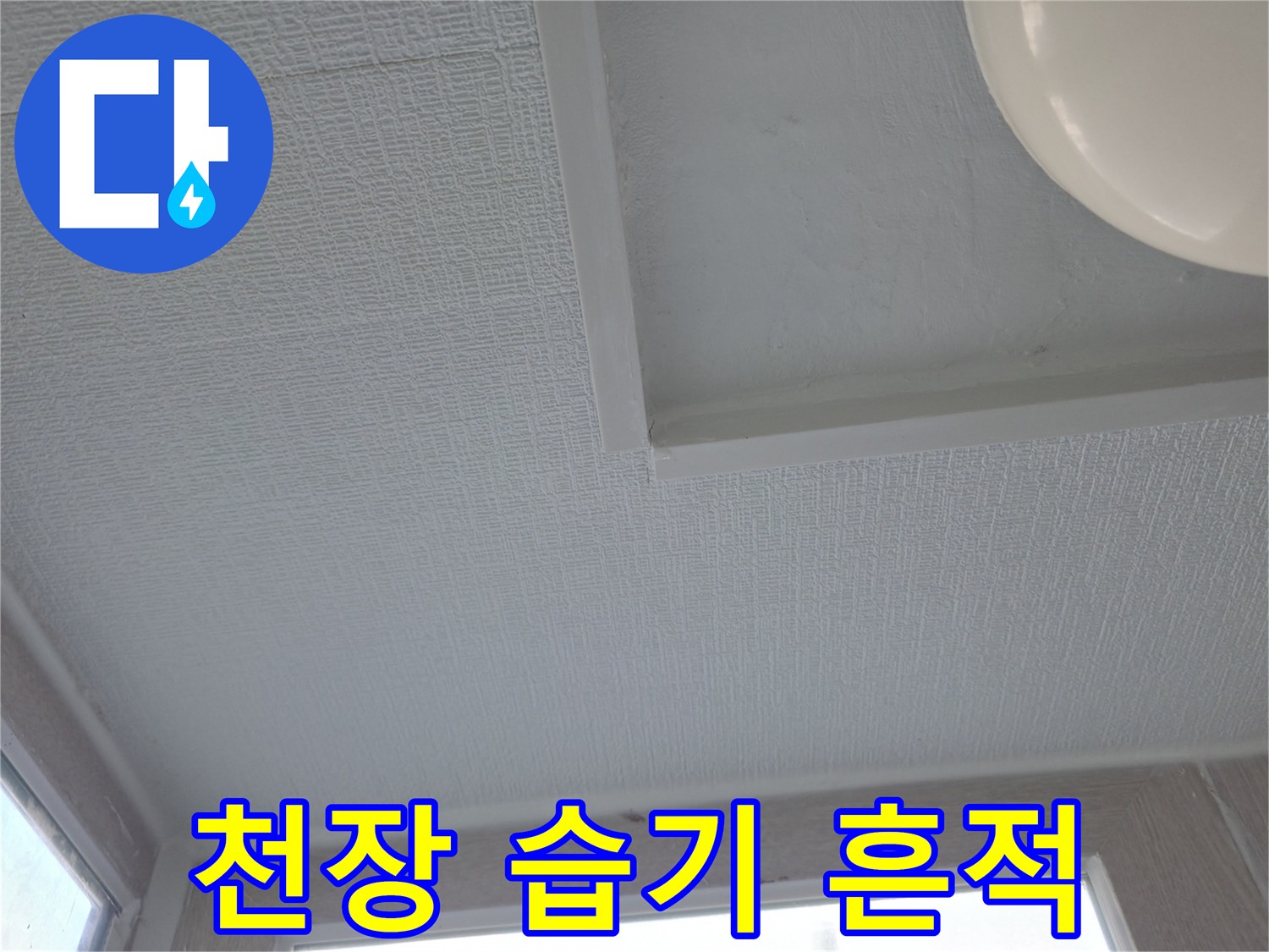 세탁실-천장-배관-주변-점검