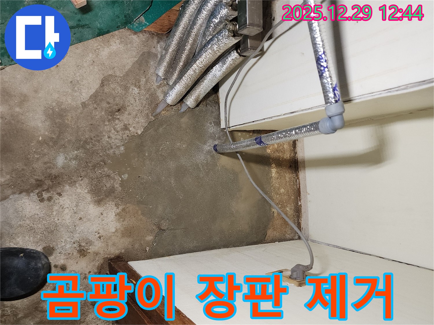 노원구 누수 - 곰팡이 핀 장판 제거