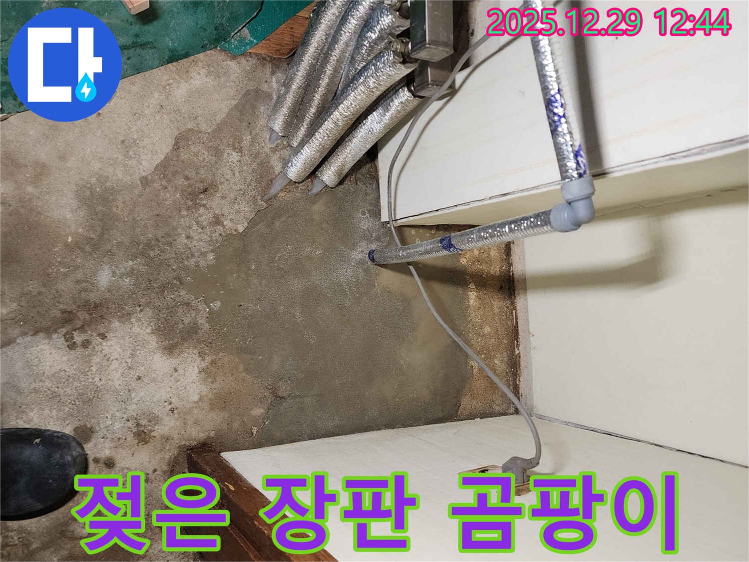 노원구 누수 - 젖은 장판과 곰팡이