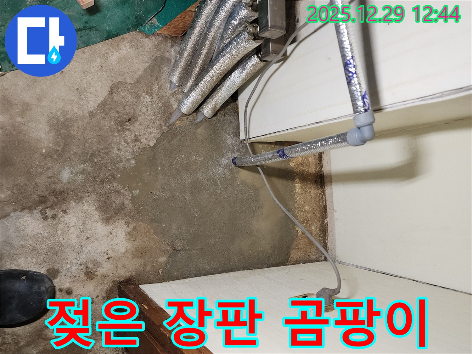노원구 누수 - 젖은 장판과 곰팡이